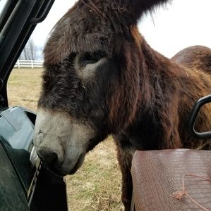 Meet your Posher, Susan